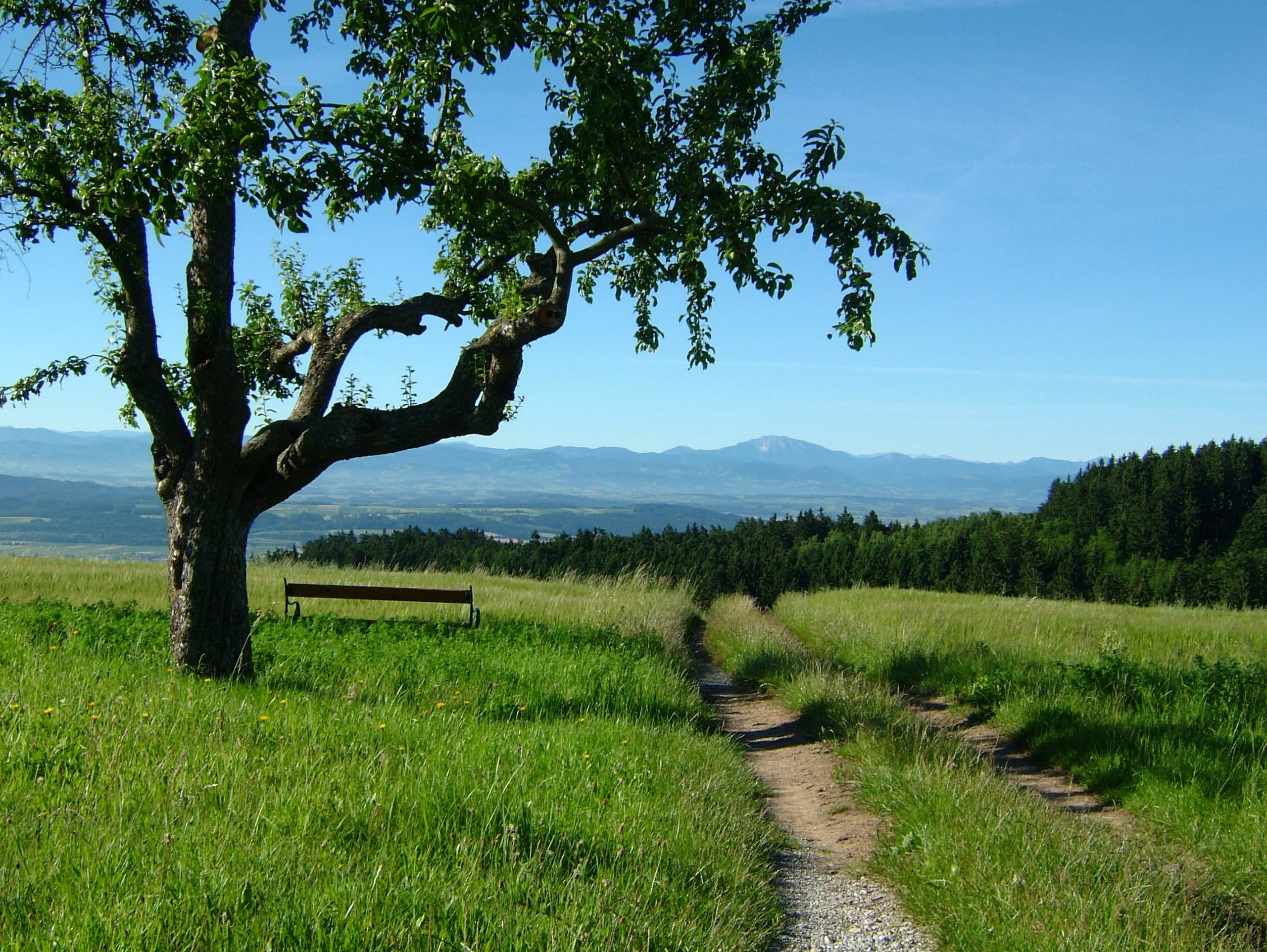 Pilgerwege nach Maria Taferl